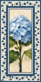 Image Not Available